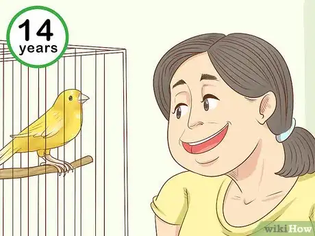 Image titled Know if a Canary Is Right for You Step 12