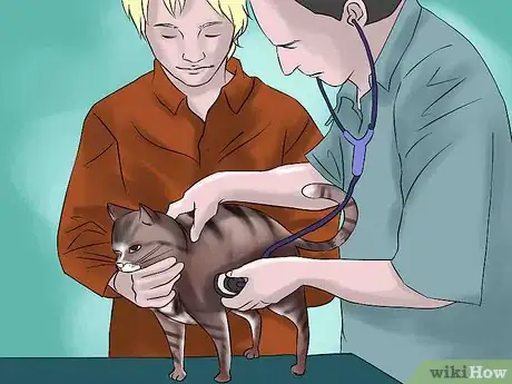 Image titled Treat Chronic Vomiting in Cats Step 11