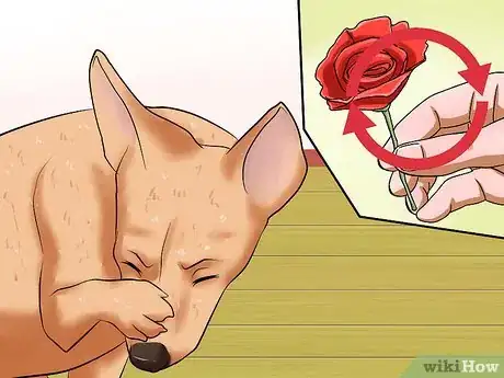 Image titled Diagnose Canine Allergies Step 3