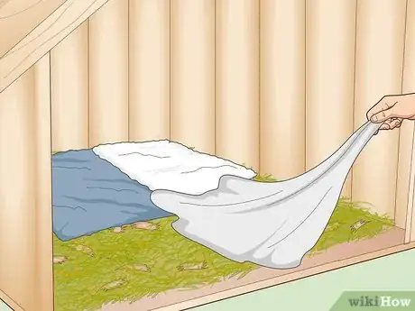 Image titled Care for an Outdoor Guinea Pig Step 19