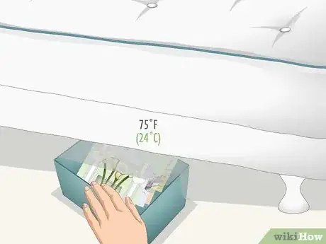 Image titled Store Old Photos Step 5