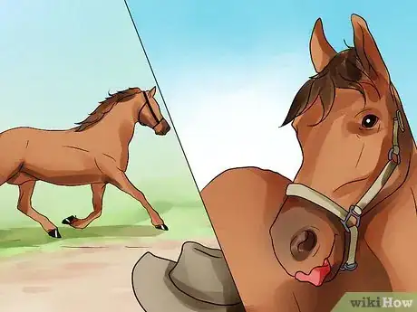 Image titled Be Comfortable Around a Bad‐Tempered Horse Step 17