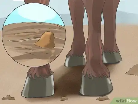 Image titled Take Proper Care of Your Horse's Teeth Step 18