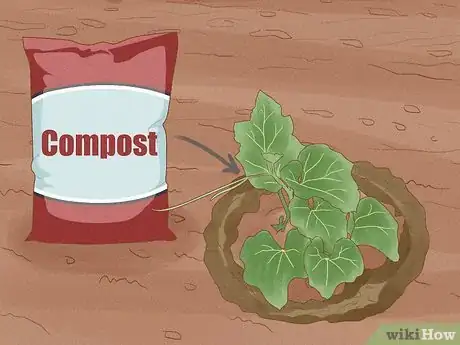 Image titled Grow Bottle Gourds Step 12