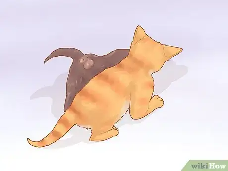 Image titled Adopt a Pair of Kittens Step 21