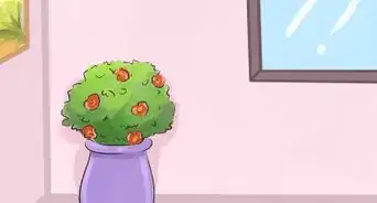 Give Your Room a Makeover