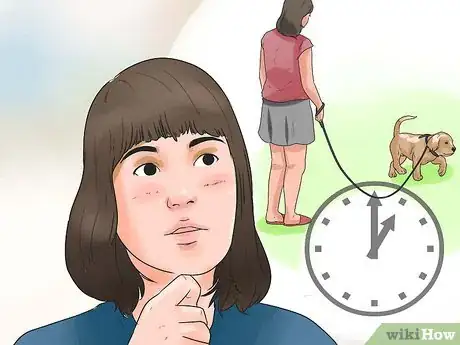 Image titled Find and Adopt a Healthy and Happy Shelter Dog Step 2