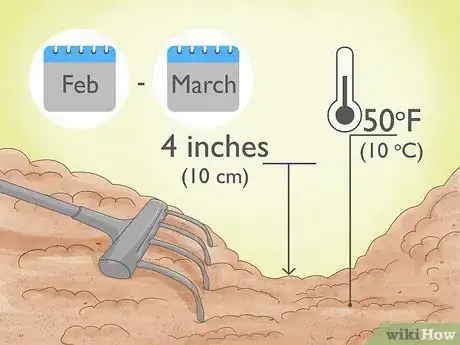 Image titled Grow Irish Potatoes Step 2