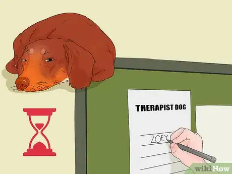 Image titled Involve a Dog in Pet Therapy Work Step 10
