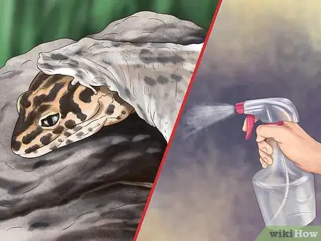 Image titled Care for a House Gecko Step 11