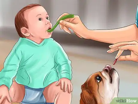Image titled Introduce a Dog to a New Family Member Step 14