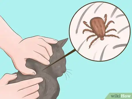Image titled Protect Your Pets from Summertime Pests Step 17