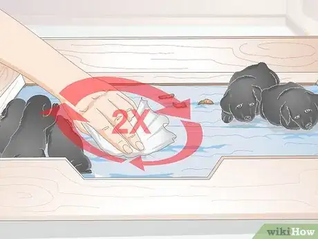 Image titled Keep Orphaned Newborn Puppies Clean Step 13