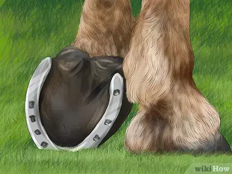 Image titled Spot Early Signs of Lameness in Horses Step 3