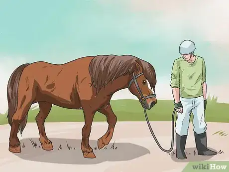 Image titled Stay Safe on a Trail Ride Step 13