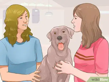 Image titled Diagnose Behavioral Dysfunction in Senior Dogs Step 11