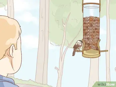 Image titled Hand Feed a Chickadee Step 14