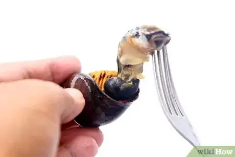 Image titled Prepare Escargot Step 6