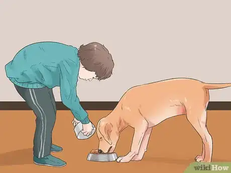 Image titled Bond with a Shy Dog Step 12