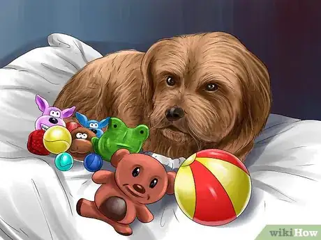Image titled Keep Kids’ Toys Away from Dogs Step 8