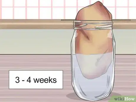 Image titled Grow Sweet Potatoes in Containers Step 3