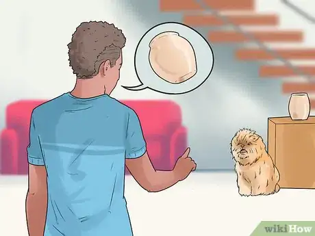 Image titled Care for an Affenpinscher Step 2