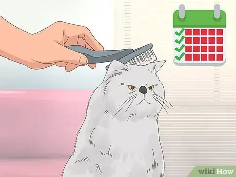 Image titled Keep Hair Out of Your Cat's Eyes Step 4