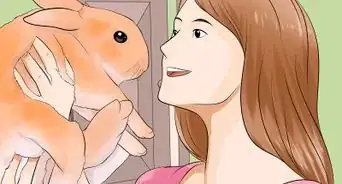 Care for Palomino Rabbits