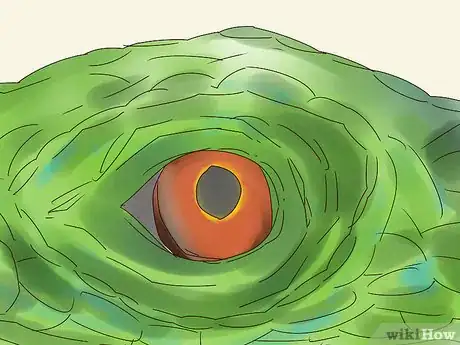 Image titled Buy an Iguana Step 6