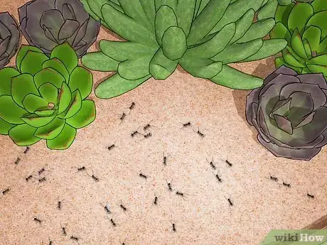 Image titled Get Rid of Ants in the Garden Step 9