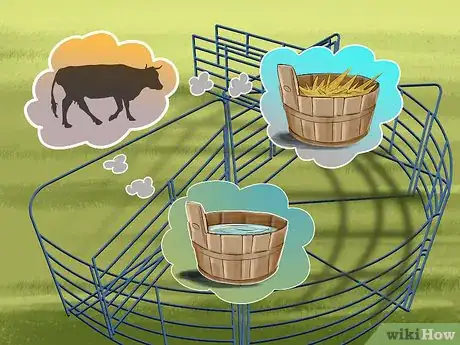 Image titled Sort Cows Step 1