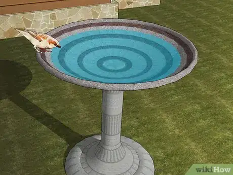 Image titled Kill Crane Flies Step 15