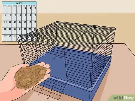 Image titled Clean a Gerbil Cage Step 8