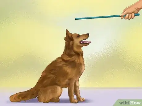 Image titled Build a Relationship With a Dog Step 6