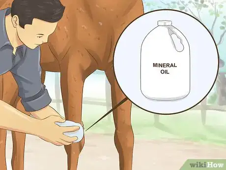 Image titled Protect Your Pets from Summertime Pests Step 16