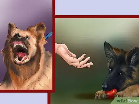 Image titled Avoid Confusing a Dog During Training Step 12
