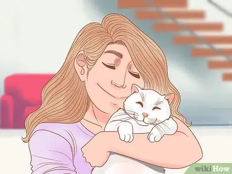 Image titled Keep Your Cat Safe on Independence Day Step 8