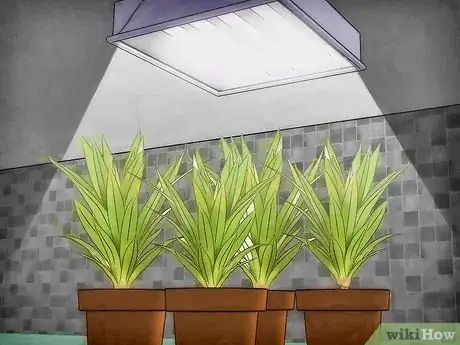 Image titled Protect Plants from the Cold Step 6