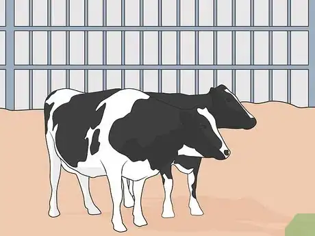 Image titled Treat Bovine Respiratory Disease Step 08