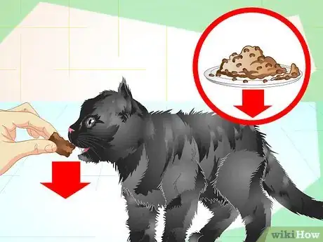 Image titled Care for an Overweight Cat Step 7