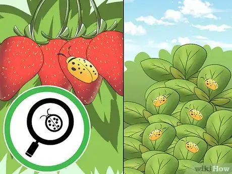 Image titled Make a Tower Garden Step 13