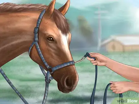 Image titled Teach a Horse to Do a Sliding Stop Step 4