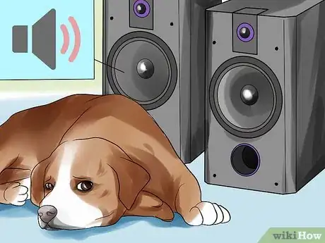 Image titled Help a Dog Overcome a Fear of Fireworks or Thunder Step 8