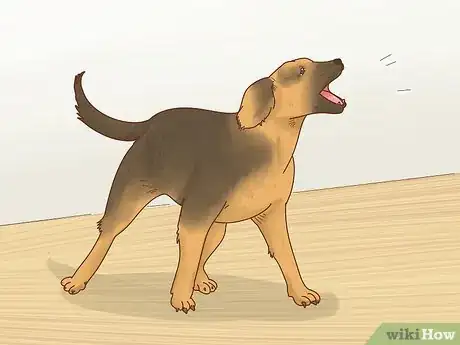 Image titled Know When to Breed Your Dog Step 9