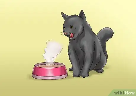 Image titled Care for a Cat with Kidney Failure Step 3