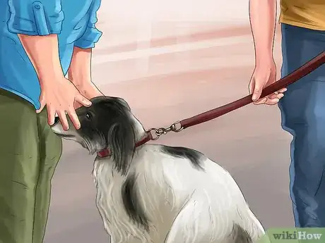 Image titled Introduce a Dog to a New Family Member Step 17