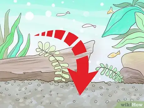 Image titled Pick Freshwater Plants Step 3