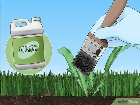 Image titled Control Lawn Weeds Step 9