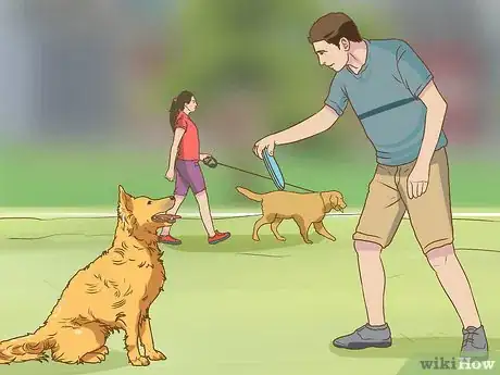 Image titled Have Fun While You're Walking Your Dog Step 9