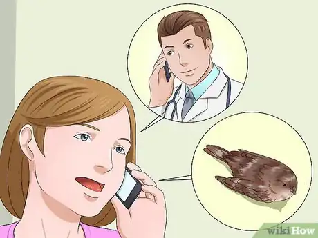 Image titled Care for an Injured Wild Bird That Cannot Fly Step 14
